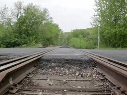 MS Young man wearing sunglasses driving convertible car in  rural area / Bayport, Minnesota, United States Stock Footage