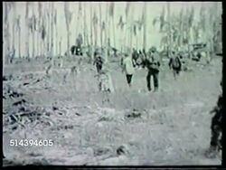 1943: LANDING AT NADZAB, LAE CAMPAIGN: VS Allied forces (U.S. Army 503rd Infantry Regiment paratroopers & Australian Army) on field in Owen Stanley Range, parachute caught in tree, dead trees, empty village barn/hangar. WWII, Pacific Front, New Guinea Instructional Video