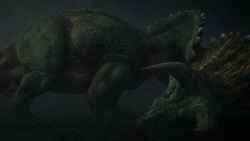 Triceratops amble along a blasted plain and investigate a Triceratops carcass in a computer generated animation. Stock Footage