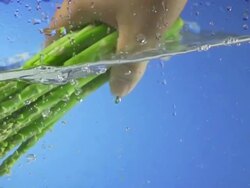 Asparagus Splashing Into Water (Super Slow Motion) Stock Footage