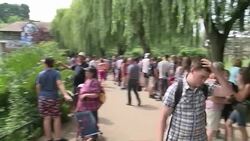 CLEAN : FILE: 17 endangered monkeys stolen from French zoo News Clip