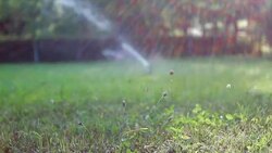 Sprinkler on sunset Stock Footage