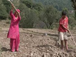 WS Woman and boy working hard tilling soil in farm at Shamnagar Village / Chandigarh, Punjab, India Stock Footage