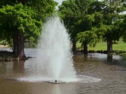 City park water fountain in center of small brown pond Stock Footage