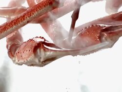 SLO MO ECU View of tossed crab legs in air and lemons in  background / Los Angeles,CA,USA Stock Footage