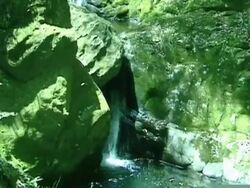 Waterfall in Japanese Mountain Forest Stock Footage