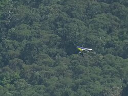WS AERIAL ZI TS View of paragliding over seashore / Stanwell Park, Sydney New South Wales, Australia Stock Footage