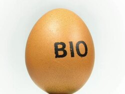 Organic Egg / Bio - Close up Stock Footage