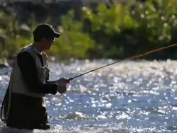 Fly Fisherman Casting Line Stock Footage