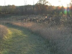 Nature Trail Stock Footage