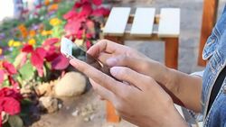 Woman play mobile Stock Footage