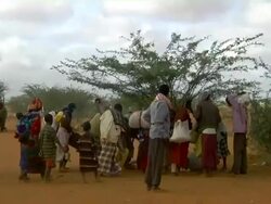 Refugees gather around small bush Stock Footage