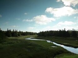 Stream that is lost away Stock Footage