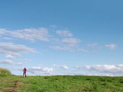Bicycle Fall Girl Stock Footage