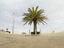 Skateboarding jumping outdoors Stock Footage