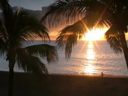 PAL: Tropical beach Stock Footage
