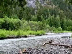 Spring in North Cascade Stock Footage