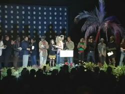 2004 Grammy Awards Nominations Stock Footage