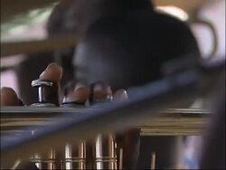 Brass section. Stock Footage