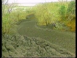 COLOMBIA:  MUD VOLCANO ERUPTION News Clip