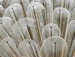 Water pipes (HD) Stock Footage