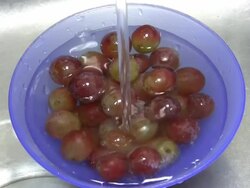 Grapes Stock Footage
