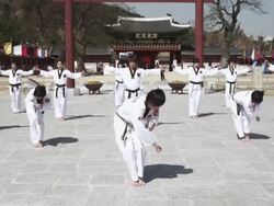WS CS PAN Korean Martial arts group performing taekwondo / Kyungkido, Bucheon, South Korea Stock Footage