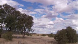 Fluffy white clouds float over the South African savanna. Stock Footage