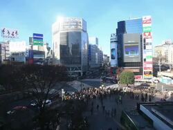 WS T/L Day view of crossing / Shibuya, Tokyo, Japan Stock Footage