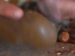 CU Shot of woman's hands cracking almonds with rocks to make argon oil / casablanca, centro, morocco Stock Footage