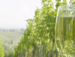 HD DOLLY: Reflection Of Vineyard In Glass Stock Footage