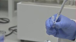 New hopes for a cure for HIV News Clip