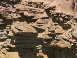 "Pan up cliff to ancient cliffside Chachapoya sarcophogi, bright sunshine, one has become the nest for a swarm of killer bees, Amazonas region of Peru [PerÃƒÂº]" Stock Footage