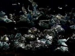 MS Plastic bags fitted in vegetation / Djibouti Stock Footage