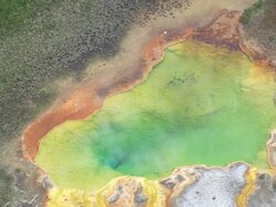 MS AERIAL DS ZO Shot of Norris Geyser Basin thermal area and broken trees / Wyoming, United States Stock Footage
