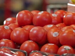 Grocery store tomatoes. Stock Footage