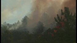 Disasters - Portugal - At least 300 firefighters work to extinguish wildfires Instructional Video