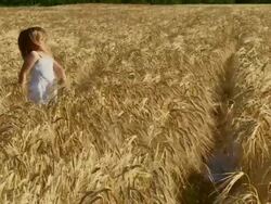 SLO MO Playing In Wheat Stock Footage