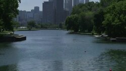 The Chicago Skyline From Lincoln Park Stock Footage