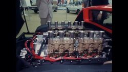 News Item (8b492435-155c-9b94-e196-e2eade02523f) Instructional Video