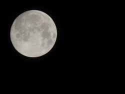 T/L, Fullmoon. Stock Footage