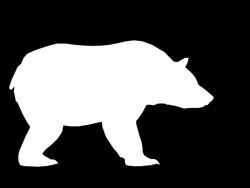 Bear Attack (Loopable) Stock Footage