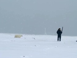 WS TS ZO Shot of hunter with rifle eyeing on polar bear for shooting / Arviat, Nunavut, Canada Stock Footage