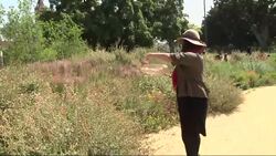 Museum Launches Largest Urban Biodiversity Study News Clip