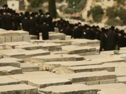 Orthodox Jews Praying in a Jerusalem Cemetery Stock Footage