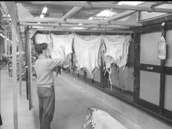 LEATHER LOOK News Clip