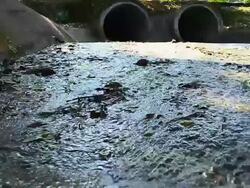 Dolly Shot: Polluted Water from the Sewer Stock Footage