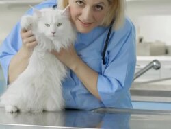 Friendly Veterinarian Posing With A Cat Stock Footage