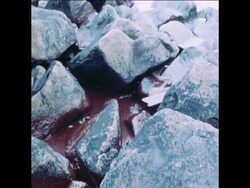 SYND 22 3 78 POLLUTION AROUND BREST AFTER OIL TANKER DISASTER Instructional Video