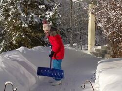 Young girl Shoveling snow on walkway Stock Footage